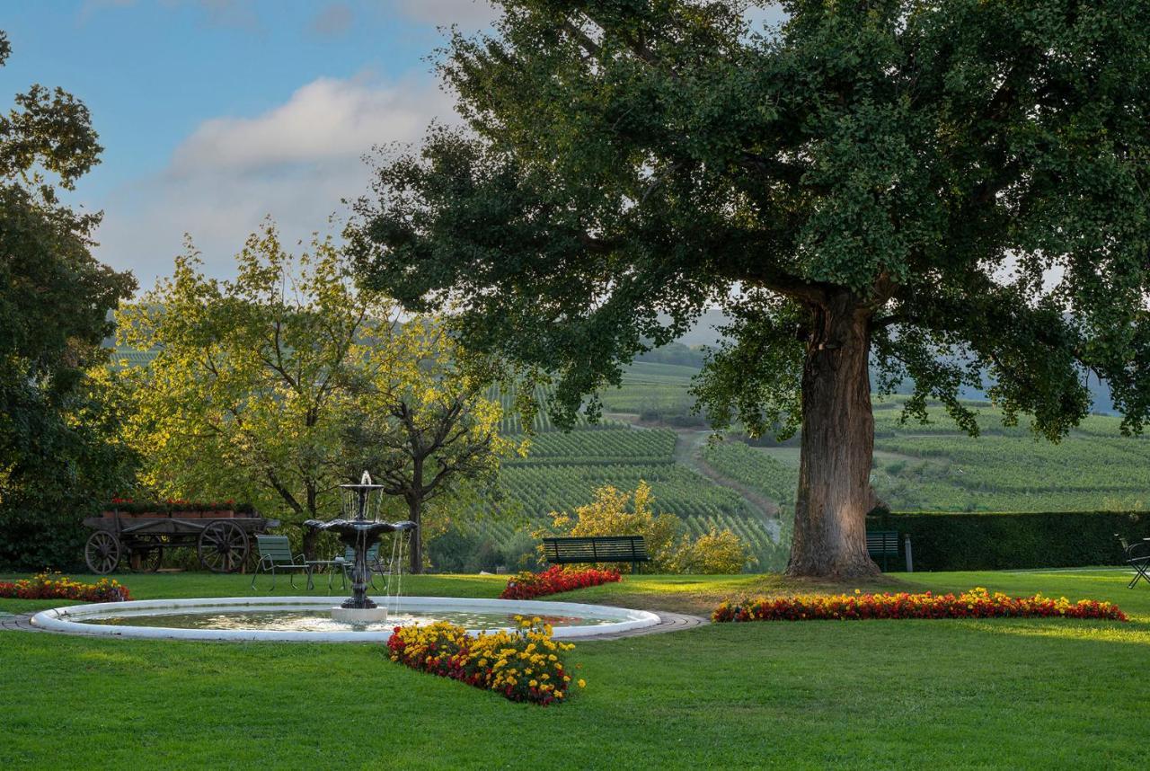 Chateau D'Isenbourg & Spa 후파슈 외부 사진