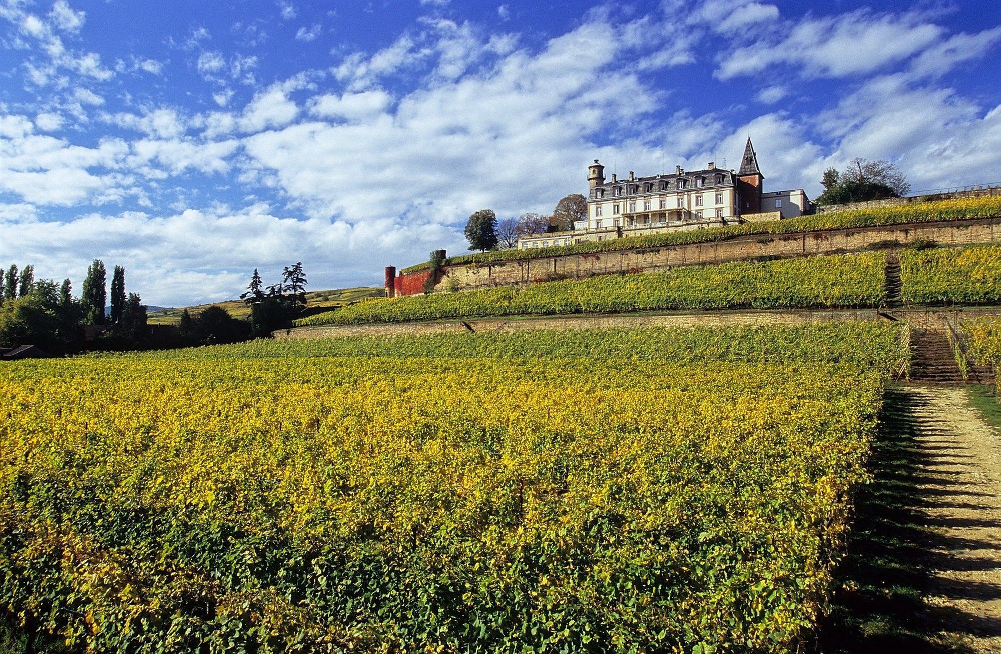 Chateau D'Isenbourg & Spa 후파슈 외부 사진